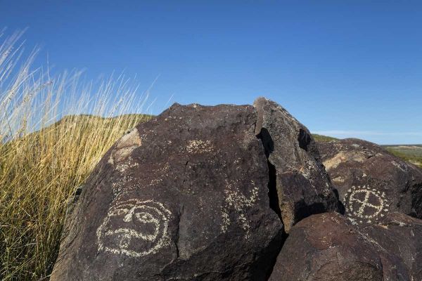 New Mexico, Three Rivers Petroglyph etchings